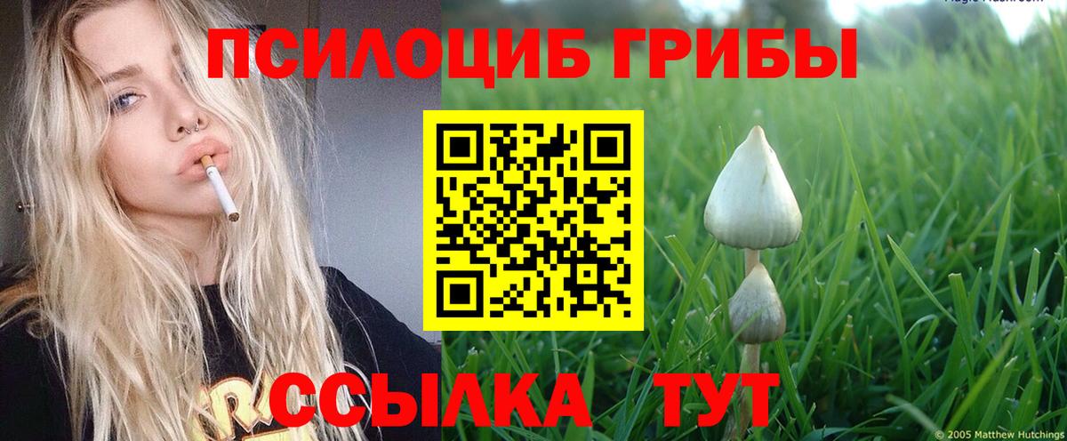 цена   Псилоцибиновые грибы Magic Shrooms  Вход с VPN  Михайловск 